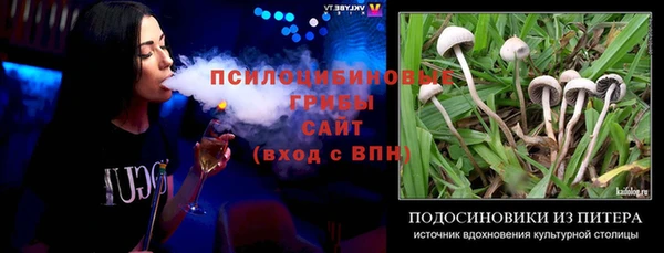 мескалин Арсеньев