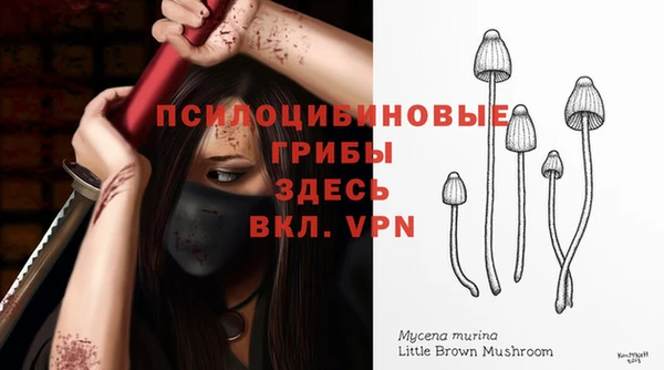 COCAINE Россошь