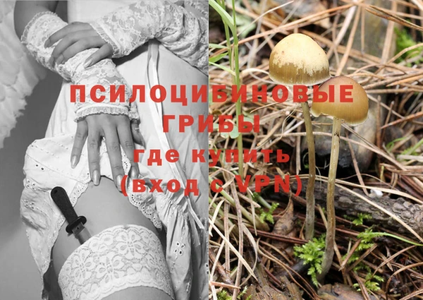 мяу мяу мука Аркадак
